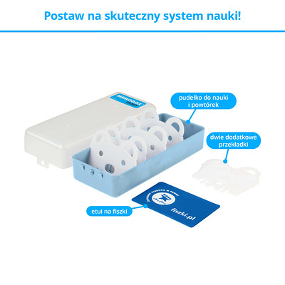 Memobox Teddy - pudłeko do efektywnej nauki języków obcych z fiszek