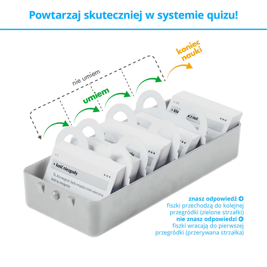 Memobox Teddy - skuteczny system nauki języków obcych z fiszek