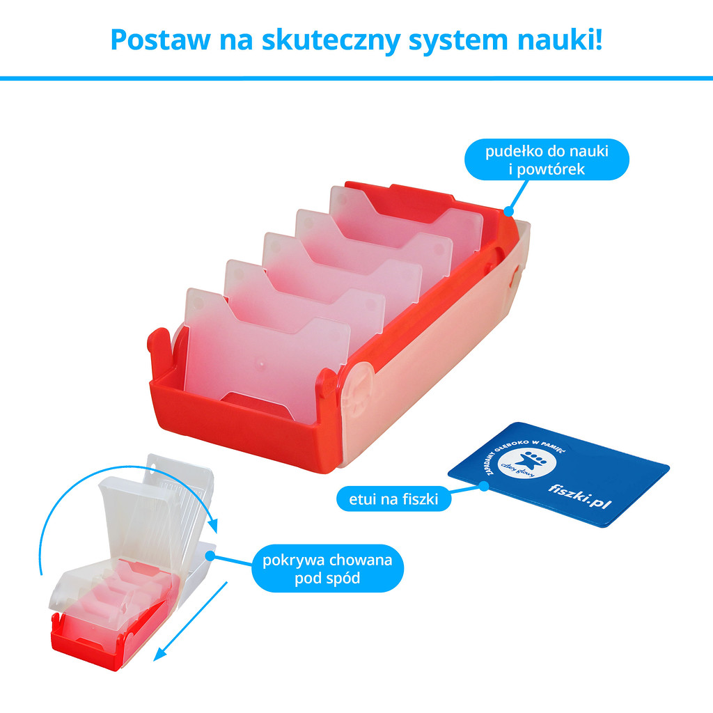 Memobox Hippo - pudłeko do efektywnej nauki języków obcych z fiszek