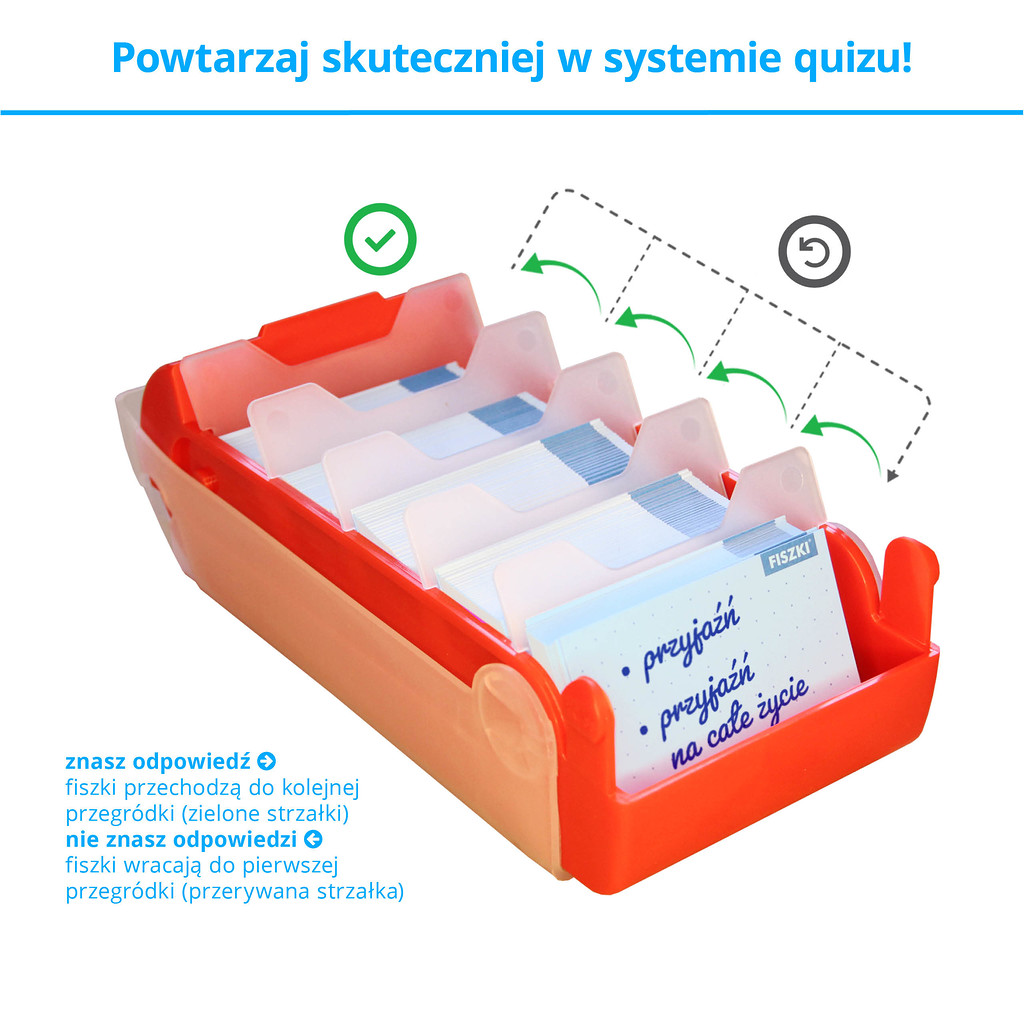 Memobox Hippo - skuteczny system nauki języków obcych z fiszek