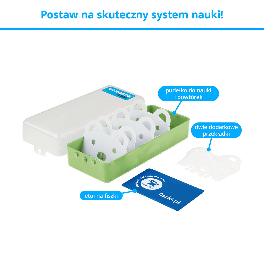 Memobox Teddy - pudłeko do efektywnej nauki języków obcych z fiszek