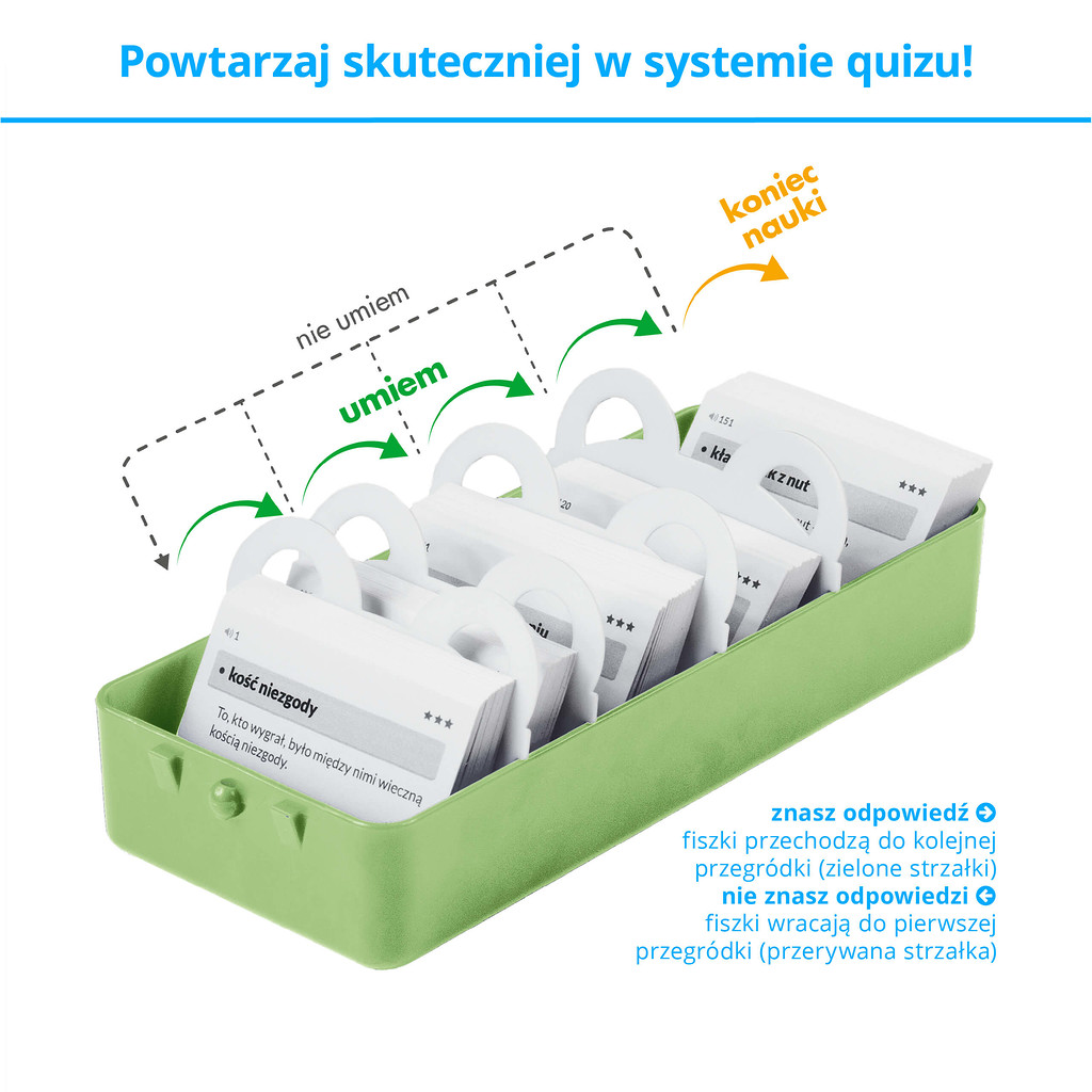 Memobox Teddy - skuteczny system nauki języków obcych z fiszek