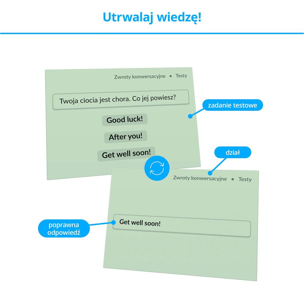 Fiszki - kartoniki z testami utrwalającymi wiedzę