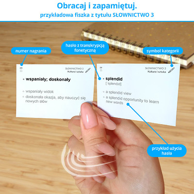 Memobox - skuteczny system nauki języka angielskiego z fiszek