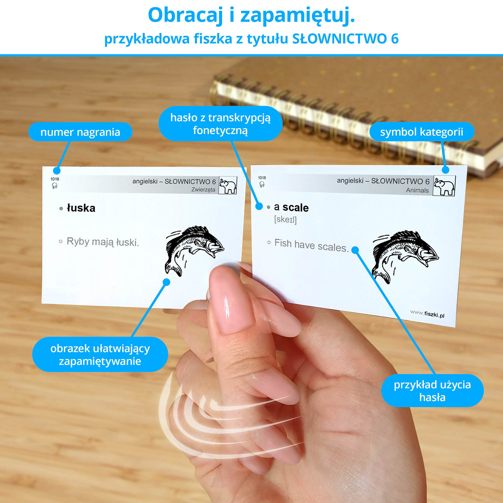 Przykładowa fiszka z tytułu angielski - Słownictwo 6