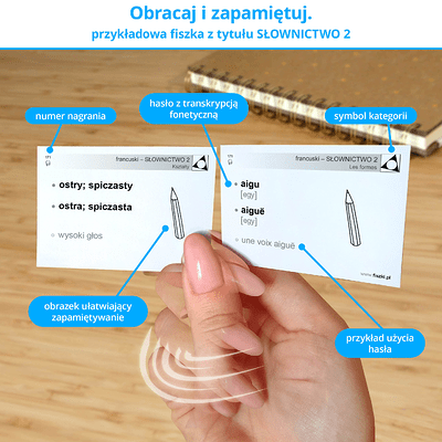 Memobox - skuteczny system nauki języka francuskiego z fiszek