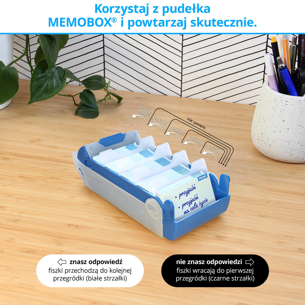 Memobox Hippo - skuteczny system nauki języków obcych z fiszek