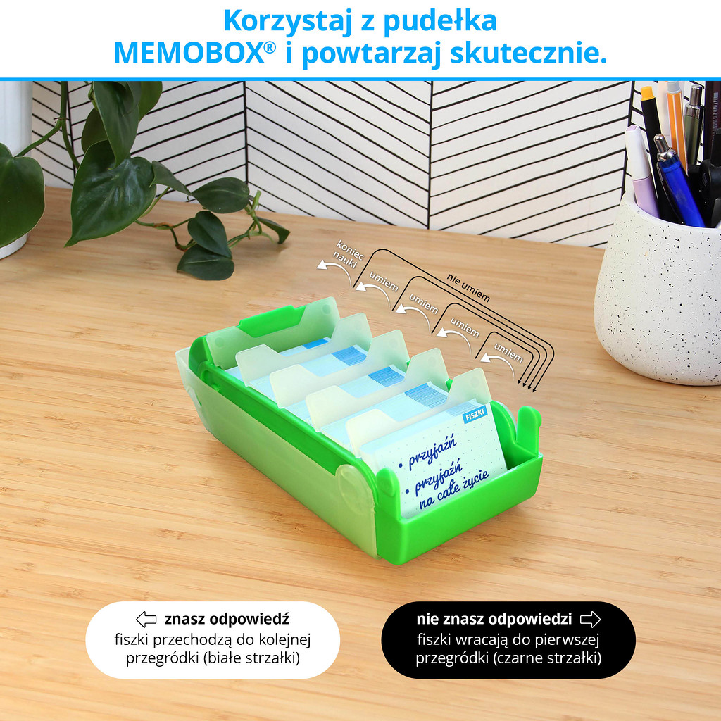 Memobox Hippo - skuteczny system nauki języków obcych z fiszek