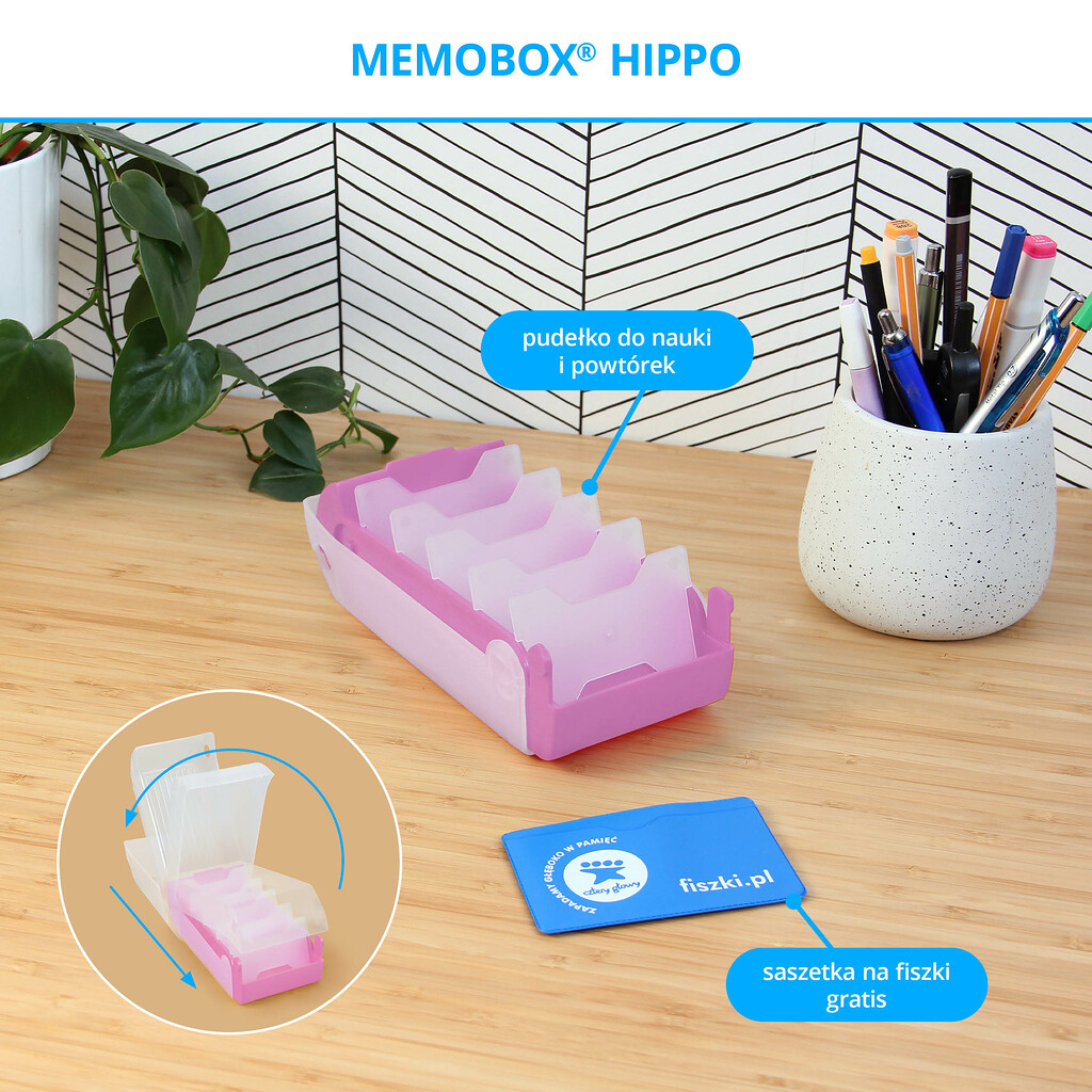 Memobox Hippo - pudłeko do efektywnej nauki języków obcych z fiszek