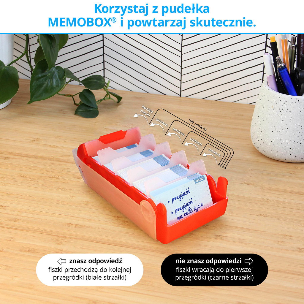 Memobox Hippo - skuteczny system nauki języków obcych z fiszek
