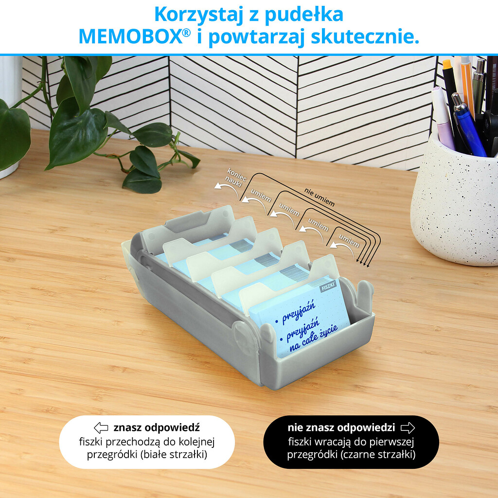 Memobox Hippo - skuteczny system nauki języków obcych z fiszek