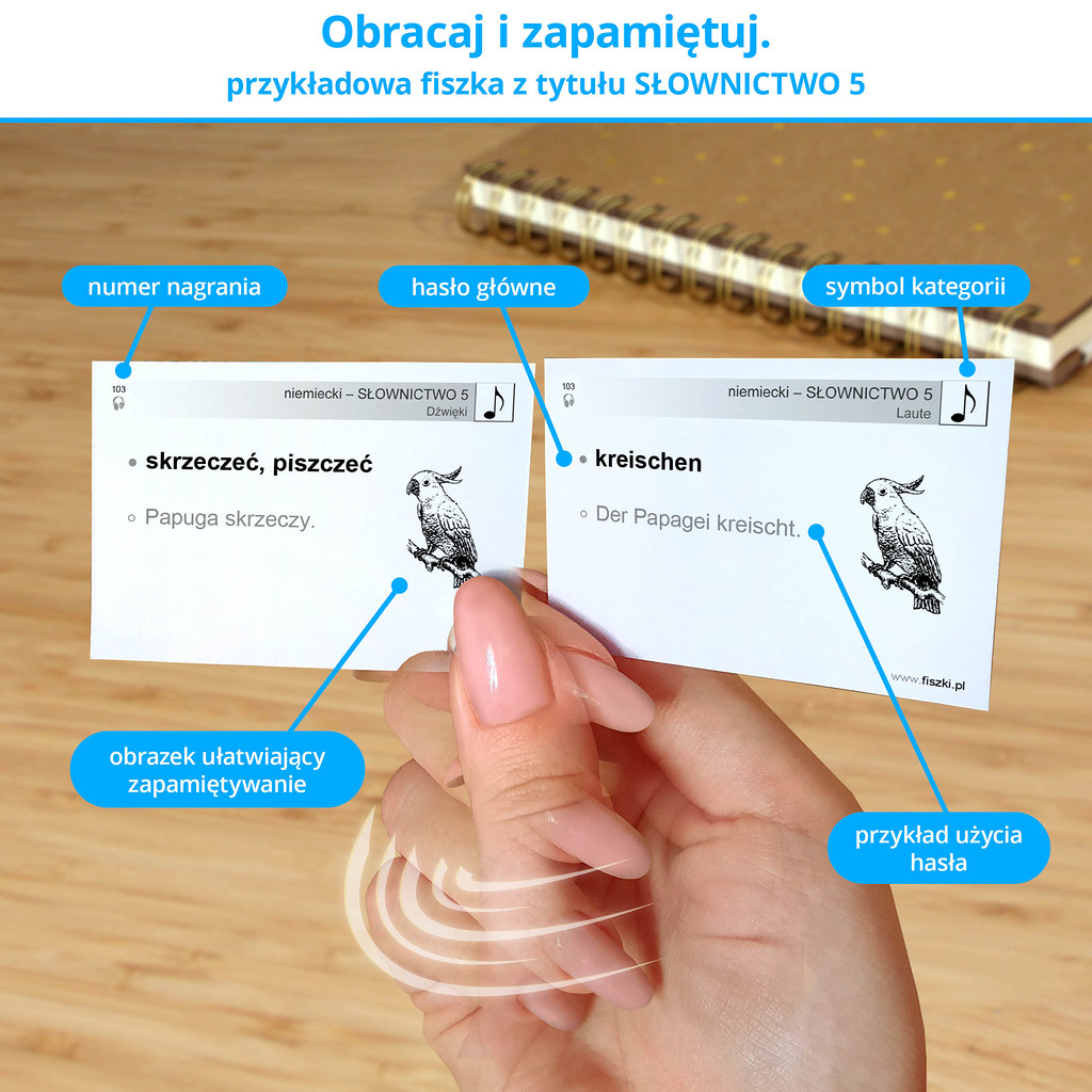 Przykładowa fiszka z tytułu niemiecki - Słownictwo 5
