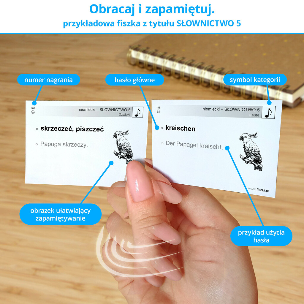 Przykładowa fiszka z tytułu niemiecki - Słownictwo 5