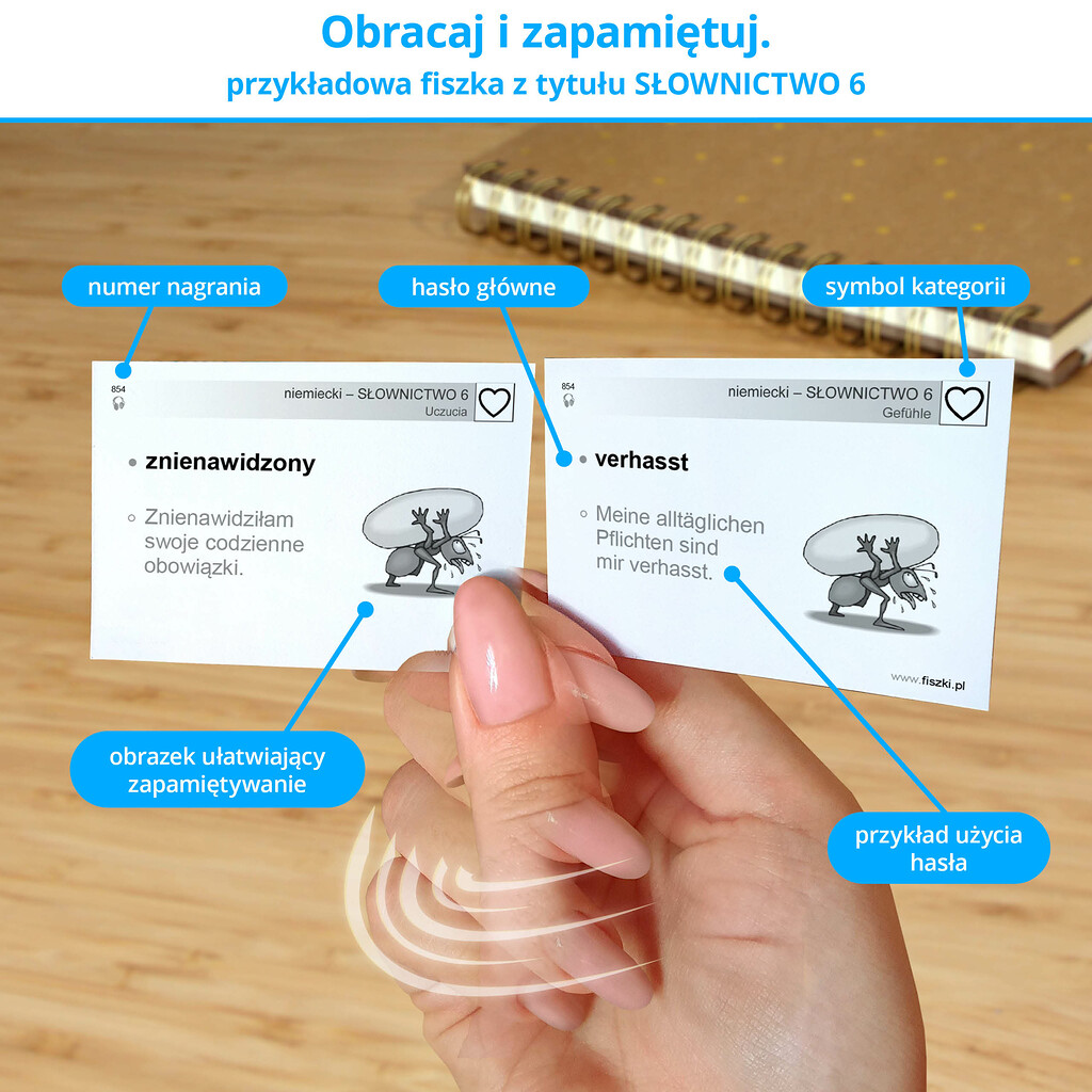 Przykładowa fiszka z tytułu niemiecki - Słownictwo 6