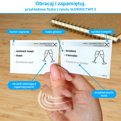 Memobox - skuteczny system nauki języka włoskiego z fiszek